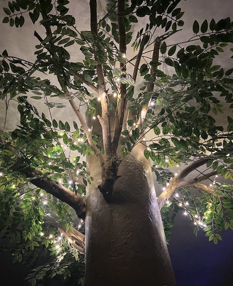 Salon avec arbre décoratif éclairé ambiance Maison Cabane à Cholet