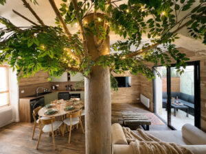 Maison cabane avec cuisine ouverte, salon lumineux et terrasse donnant sur un arbre, vue d’ensemble.